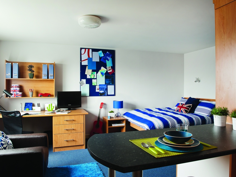 Student Lincoln, The Pavilions Student Source