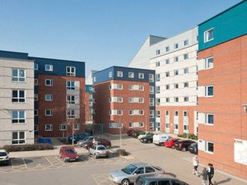 Student Lincoln, The Pavilions Student Source