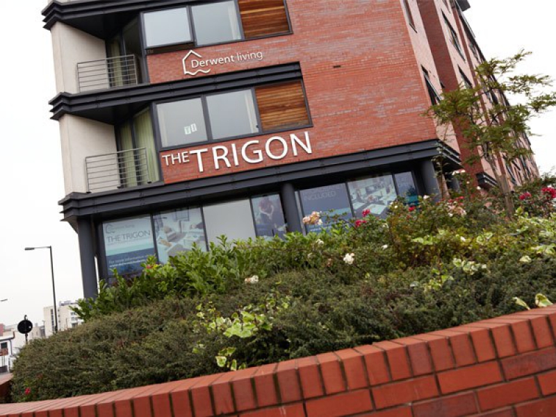 Student Sheffield, The Trigon Student Source